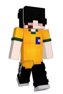 amorpirata Minecraft avatar full body