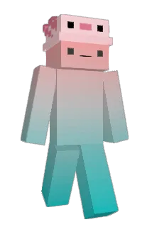 an2004 Minecraft avatar full body