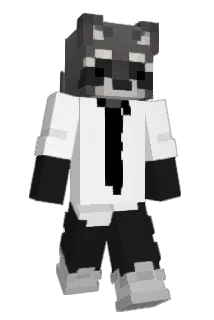anab2121 Minecraft avatar full body