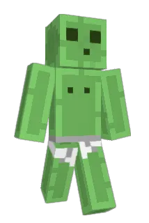 analprobez Minecraft avatar full body