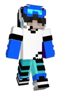 ananasDN Minecraft avatar full body