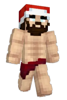 ancapbear Minecraft avatar full body