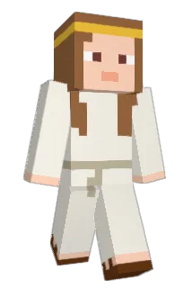 and1dmn Minecraft avatar full body