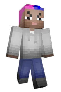 andersonsapeca Minecraft avatar full body