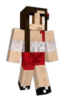 angibby Minecraft avatar full body