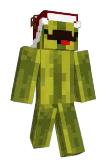 angiescousin Minecraft avatar full body