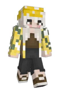 ania__ Minecraft avatar full body