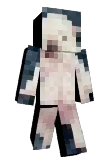 anikobi Minecraft avatar full body