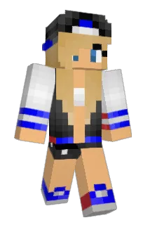 anini810 Minecraft avatar full body