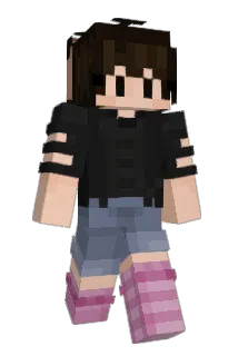 anip Minecraft avatar full body