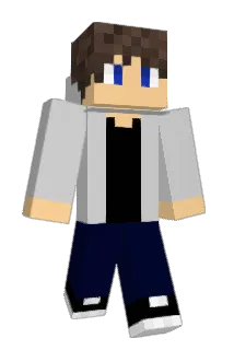 anisheragon Minecraft avatar full body