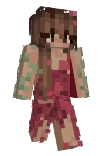 anjjj Minecraft avatar full body