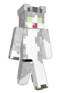 anko713 Minecraft avatar full body