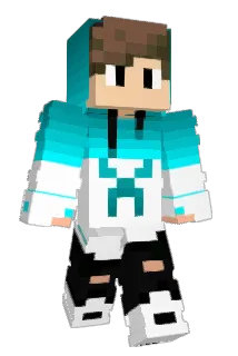 anles919 Minecraft avatar full body
