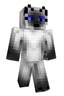 ann58900 Minecraft avatar full body