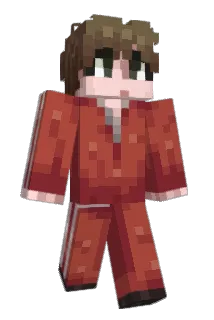 ann8969 Minecraft avatar full body