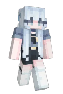 annasalomee Minecraft avatar full body