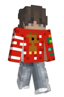 anonimek21 Minecraft avatar full body