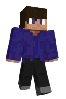 anonpl Minecraft avatar full body