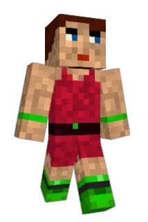 anowakow Minecraft avatar full body