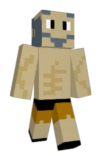 anpandude Minecraft avatar full body