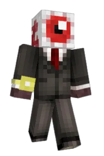 answols Minecraft avatar full body
