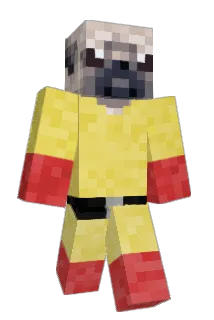 ant1002 Minecraft avatar full body