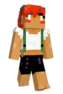 anticapt Minecraft avatar full body