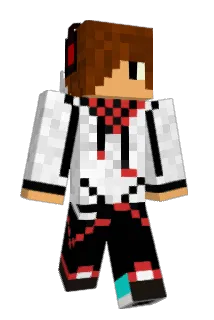 anyoneoutthere Minecraft avatar full body