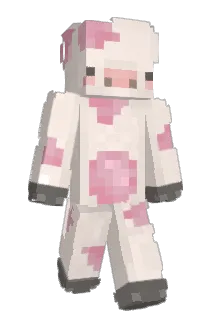 apanspelar00 Minecraft avatar full body