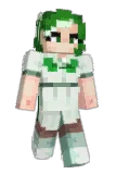 apected Minecraft avatar full body