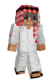 aporophobie Minecraft avatar full body