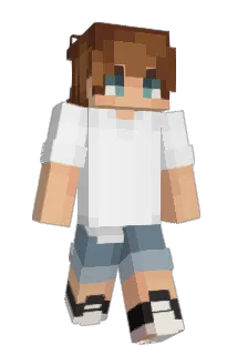 applehord Minecraft avatar full body