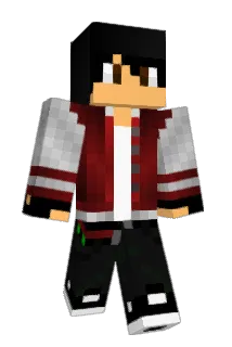 applesauce12356 Minecraft avatar full body