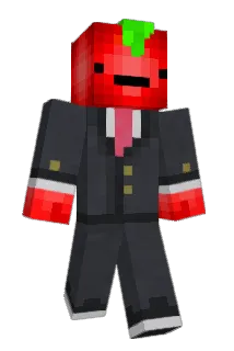 applseeed Minecraft avatar full body