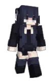 aprotic Minecraft avatar full body