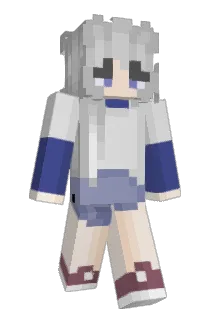 aptallon Minecraft avatar full body