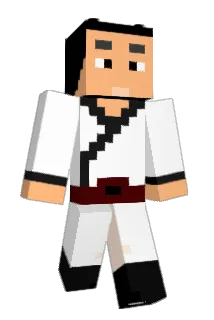 aptx73 Minecraft avatar full body