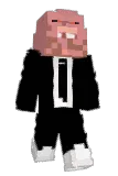 aqom Minecraft avatar full body