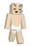 aqu1a Minecraft avatar full body