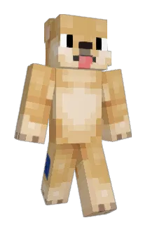 aquabear101 Minecraft avatar full body