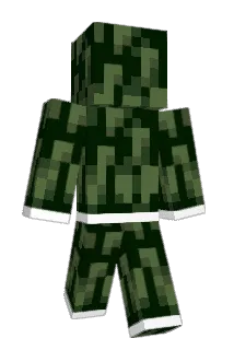 aquatikat Minecraft avatar full body