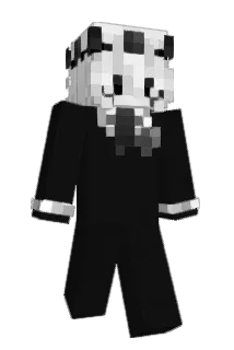 ara Minecraft avatar full body