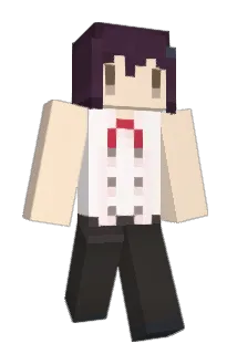 aradi Minecraft avatar full body