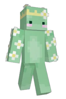 araiporro Minecraft avatar full body
