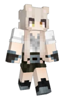 aran9 Minecraft avatar full body