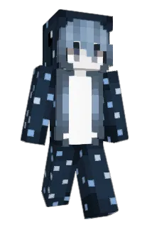 araneaee Minecraft avatar full body