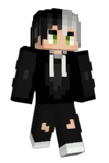arch2011_ Minecraft avatar full body