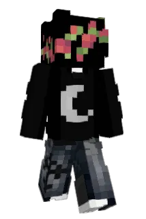 ardeixyz Minecraft avatar full body
