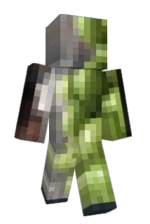 ardengu Minecraft avatar full body